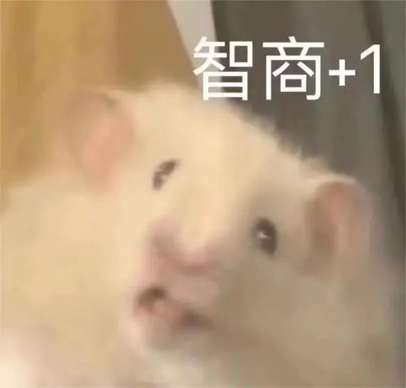微信图片_20240701142612.jpg