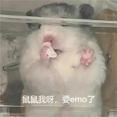 微信图片_20240701142643.jpg