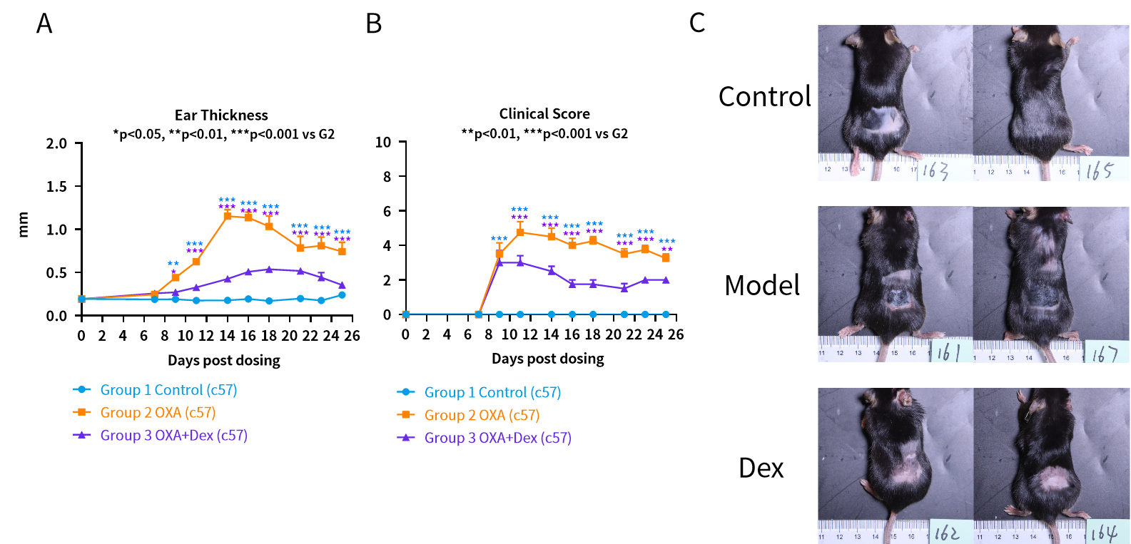 微信图片_20240701094049.png