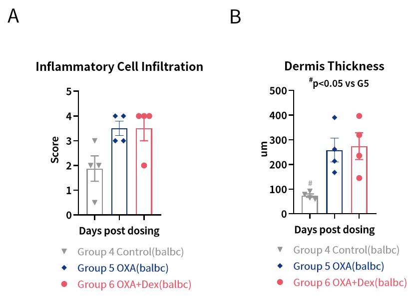微信图片_20240701094124.png