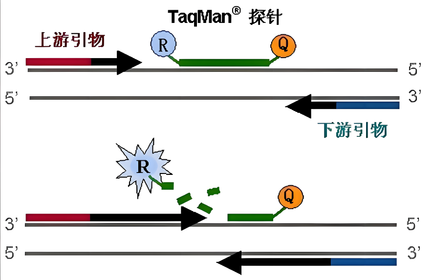 微信图片_20240801092113.png