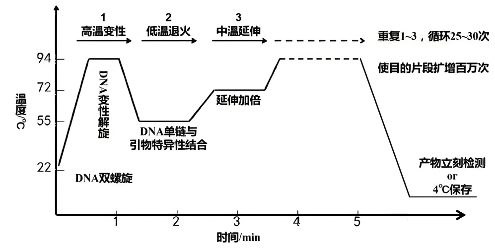 微信图片_20240801092109.png