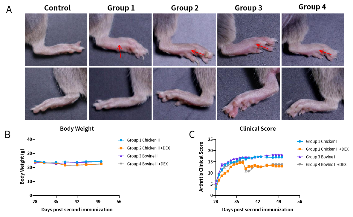 微信图片_20240906094429.png 微信图片_20240906094429.png