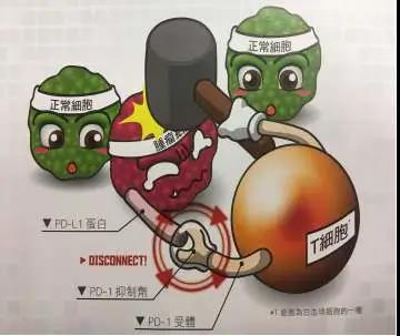微信图片_20200518114142.jpg 微信图片_20200518114142.jpg
