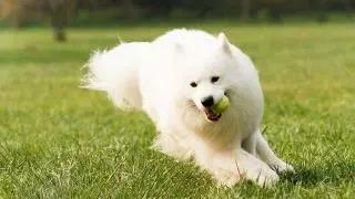 微信图片_20200601120901.jpg 微信图片_20200601120901.jpg