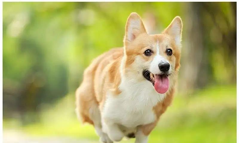 微信图片_20200601120911.jpg 微信图片_20200601120911.jpg