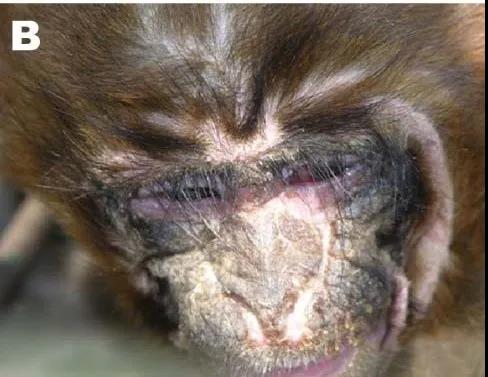 微信图片_20200601121749.jpg 微信图片_20200601121749.jpg