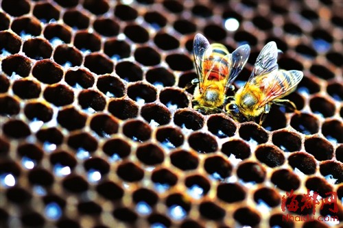 微信图片_20200604103454.jpg 微信图片_20200604103454.jpg