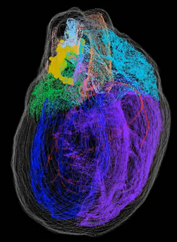 微信图片_20200605132703.png 微信图片_20200605132703.png