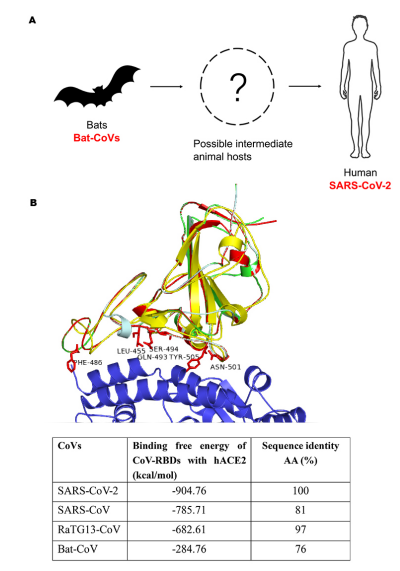 微信图片_20200429155712.png 微信图片_20200429155712.png