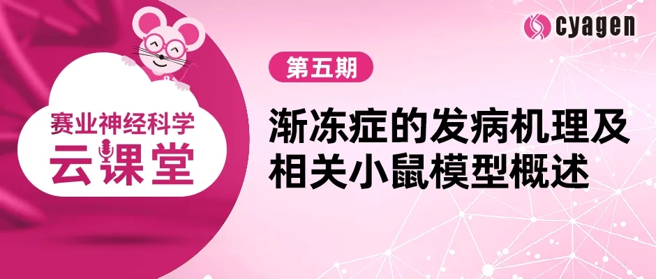 赛业神经科学云课堂第五期:渐冻症的发病机理及相关小鼠模型概述 赛业神经科学云课堂第五期:渐冻症的发病机理及相关小鼠模型概述