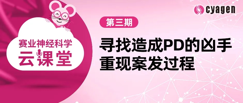 赛业神经科学云课堂第三期:寻找造成帕金森病的凶手,重现案发过程
