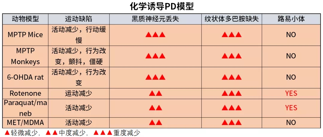 图3. 化学诱导PD模型