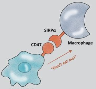 微信图片_202004201237211.png 微信图片_202004201237211.png