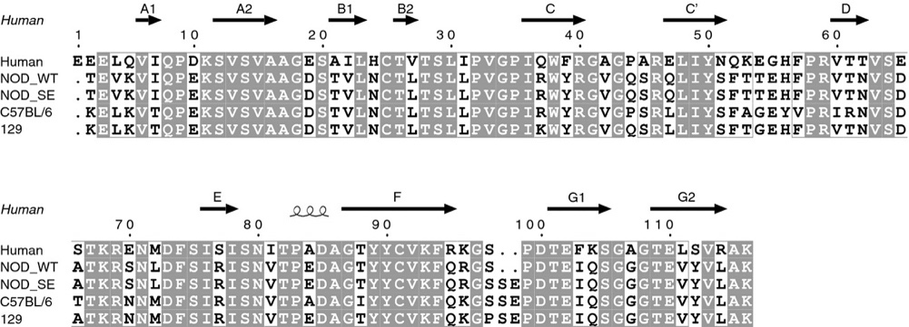 微信图片_202004201238311.png 微信图片_202004201238311.png