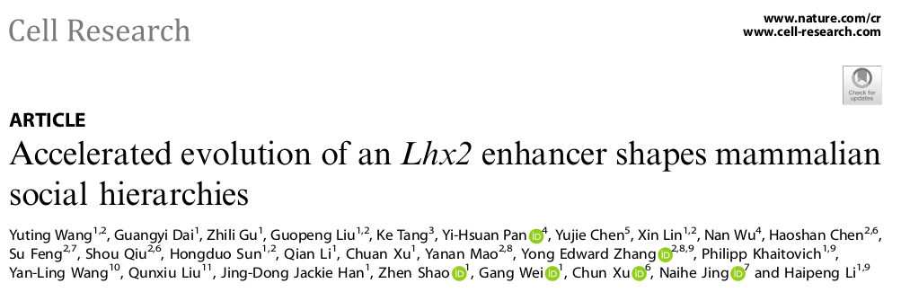 社会等级形成和基因有关?李海鹏课题组揭示羊膜动物社会阶层的形成机制摘要:赛业PAS1基因敲除和wPAS1敲入小鼠助力社会行为学研究