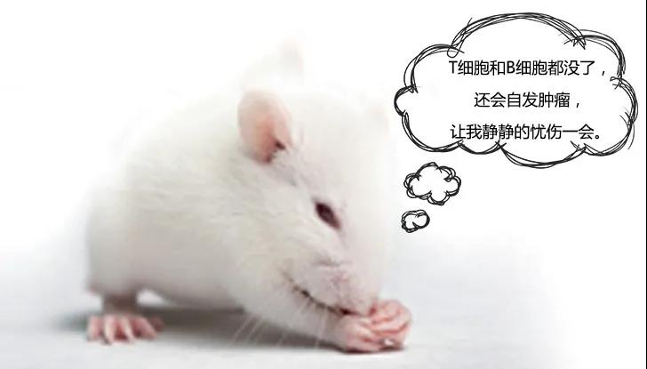 微信图片_20200312133630.jpg