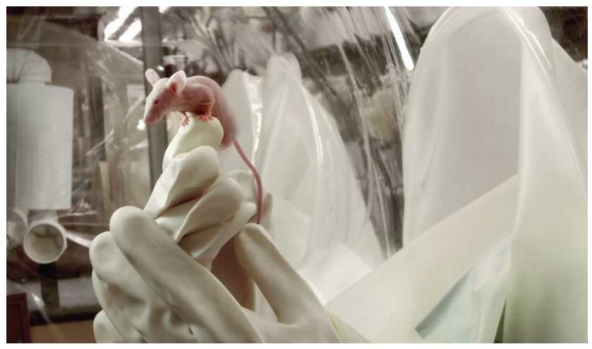 微信图片_20201021134122.jpg 微信图片_20201021134122.jpg