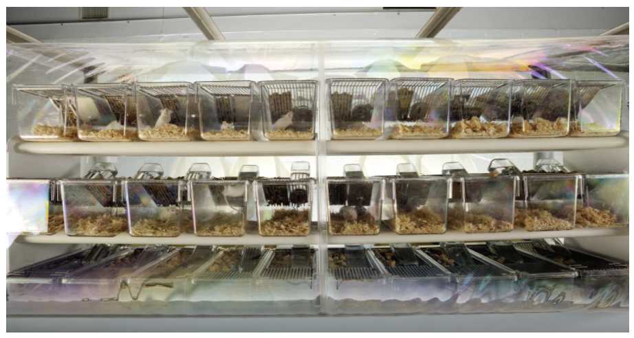 微信图片_20201021134232.jpg 微信图片_20201021134232.jpg