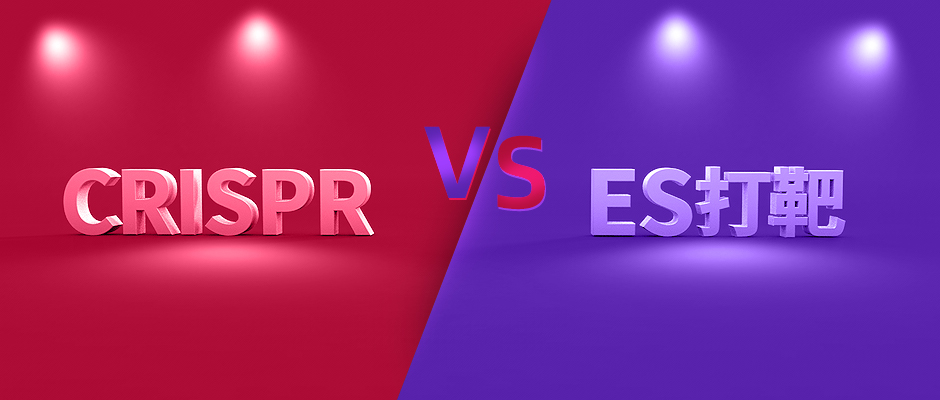 CRISPR/Cas9 和ES打靶孰优孰劣?