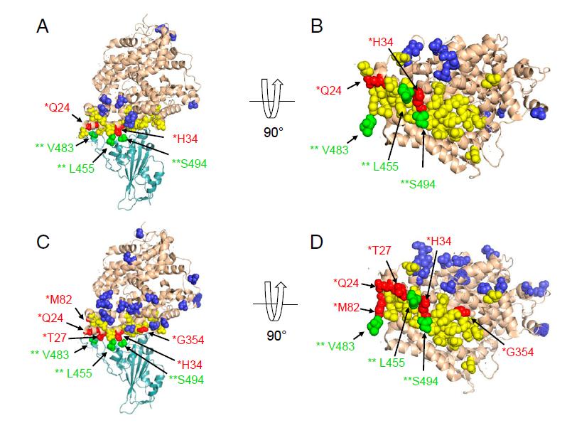 微信图片_20200827094814.jpg 微信图片_20200827094814.jpg