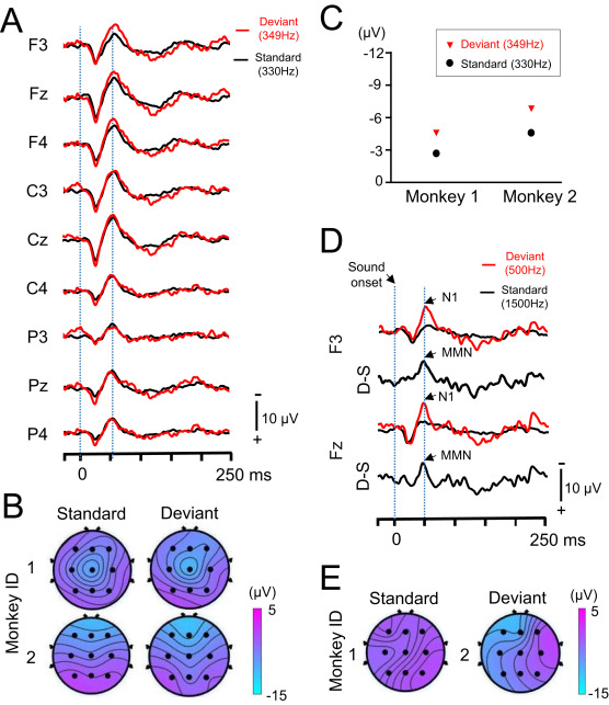94e6f89d16361eb60f019f154668d3e6_1-s20-S2405844020308872-gr4.jpg 94e6f89d16361eb60f019f154668d3e6_1-s20-S2405844020308872-gr4.jpg