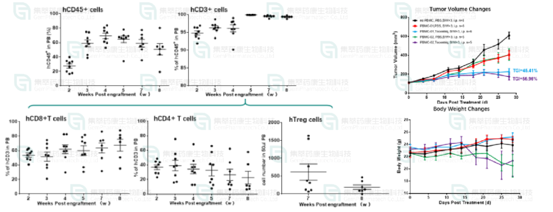 图9. 利用流式细胞技术检测huPBMC-NCG小鼠人源化进程中外周血中白细胞比例，右图为药效评价