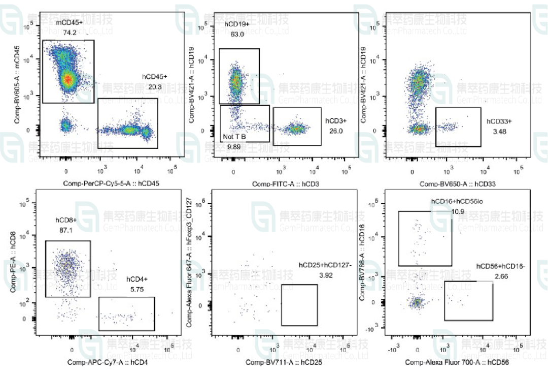 图10. NCG-huHSC小鼠外周血流式分析