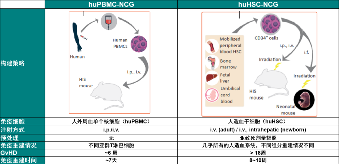 图11. huPBMC-NCG和huHSC-NCG模型的对比[1]
