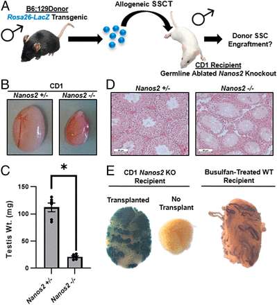 微信图片_20200928142757.jpg 微信图片_20200928142757.jpg