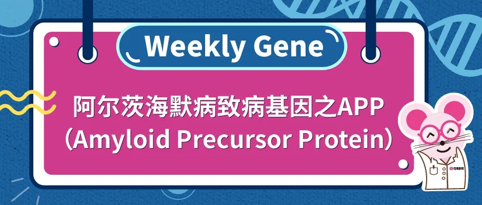 封面1.jpg 封面1.jpg