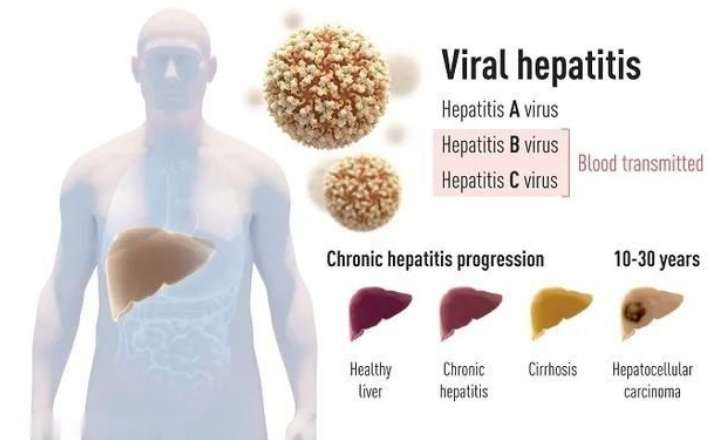 微信图片_20201012133239.jpg 微信图片_20201012133239.jpg