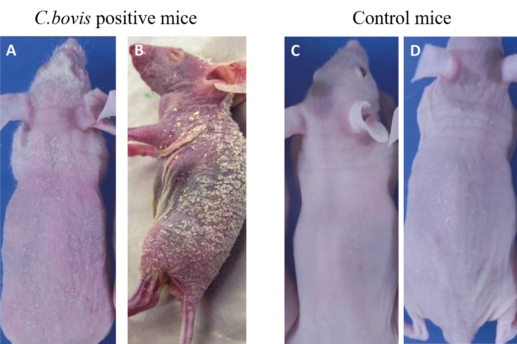 微信图片_20210507164708.png 微信图片_20210507164708.png