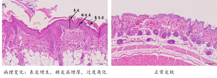 微信图片_20210507164755.png 微信图片_20210507164755.png