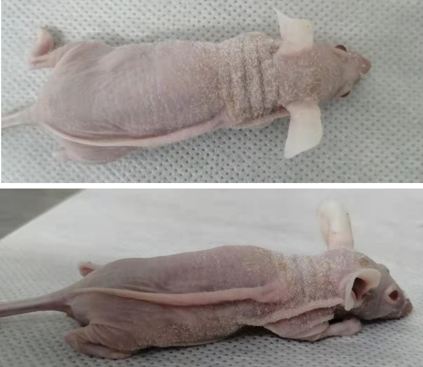 微信图片_20210507165000.png 微信图片_20210507165000.png