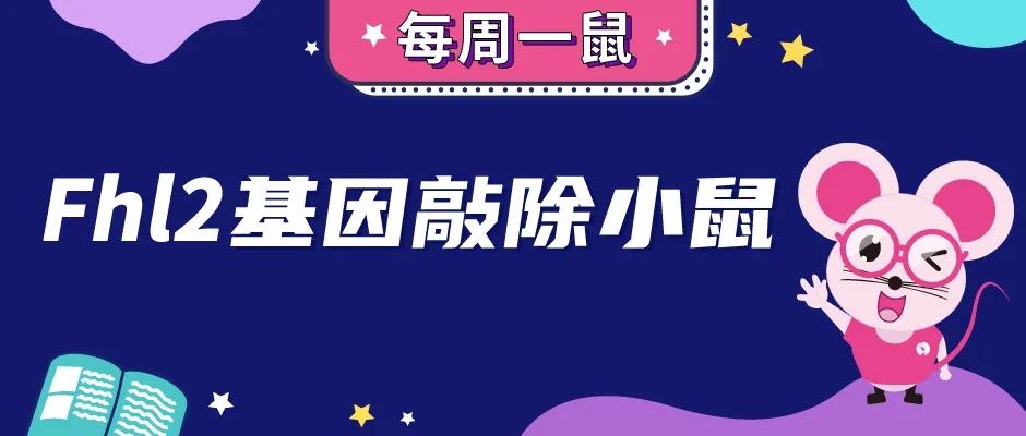 封面webp_601KklQ.jpg 封面webp_601KklQ.jpg