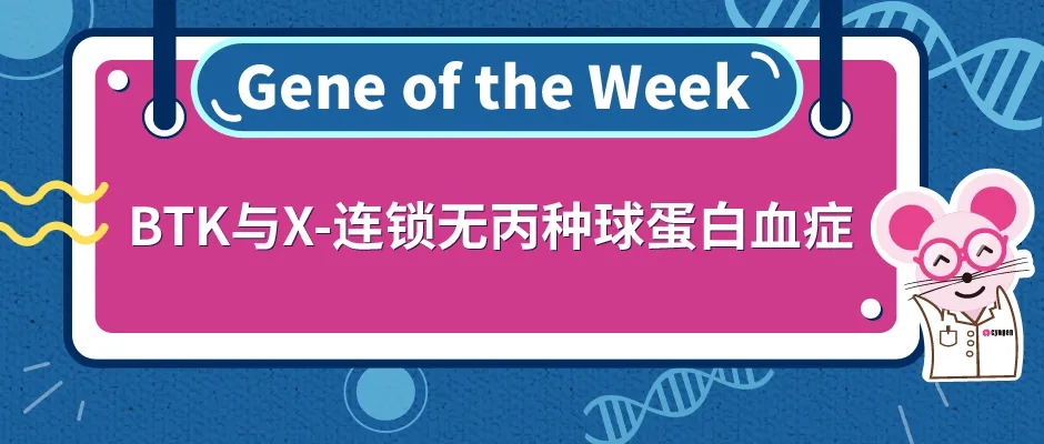 封面webp4.jpg 封面webp4.jpg