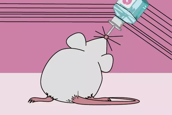 走近科学之小鼠为什么会吃幼崽