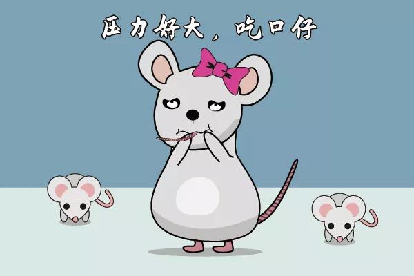 走近科学之小鼠为什么会吃幼崽