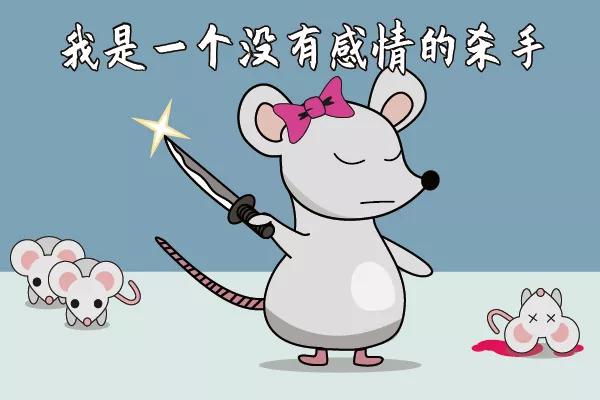 走近科学之小鼠为什么会吃幼崽