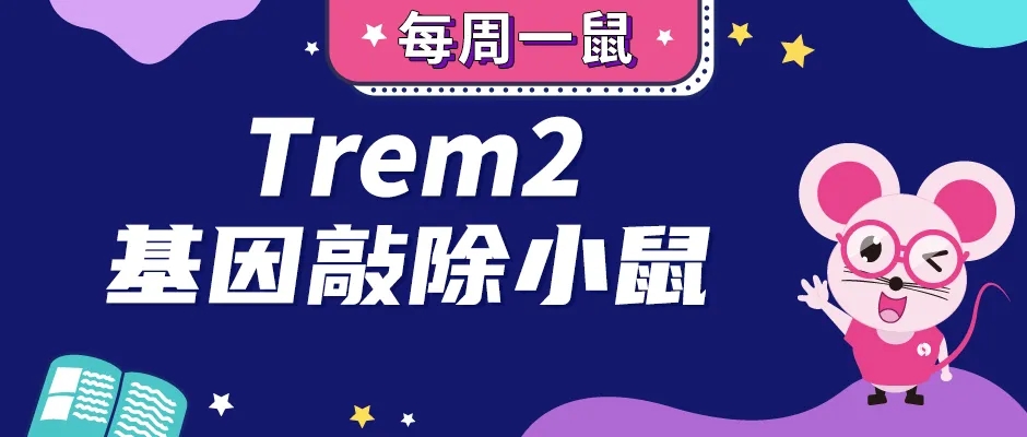 0-AD、代谢综合征和癌症的关键信号中心—Trem2webp.jpg