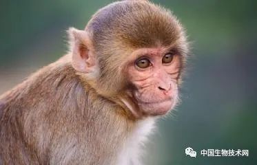 1635833488587307.jpg 2.jpg