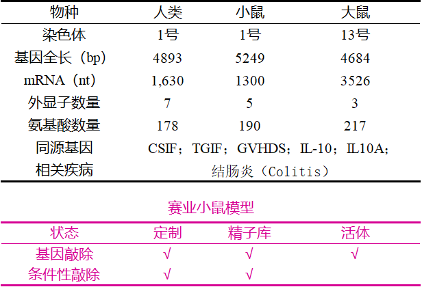 IL-10敲除小鼠赛业生物红鼠库.png