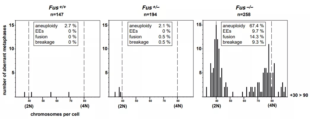 图2 Fus--细胞中基因组不稳定性的发生率高webp.jpg