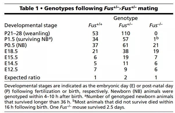 表1 Fus敲除小鼠生存、死亡情况webp.jpg