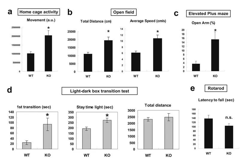 图6 远交Fus--小鼠的行为分析webp.jpg