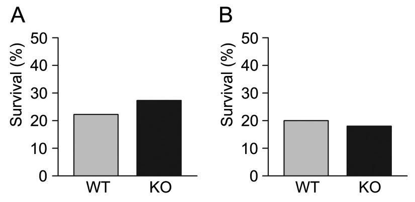 图5 野生型(WT)和Calca敲除(KO)小鼠对肺炎感染的反应.png