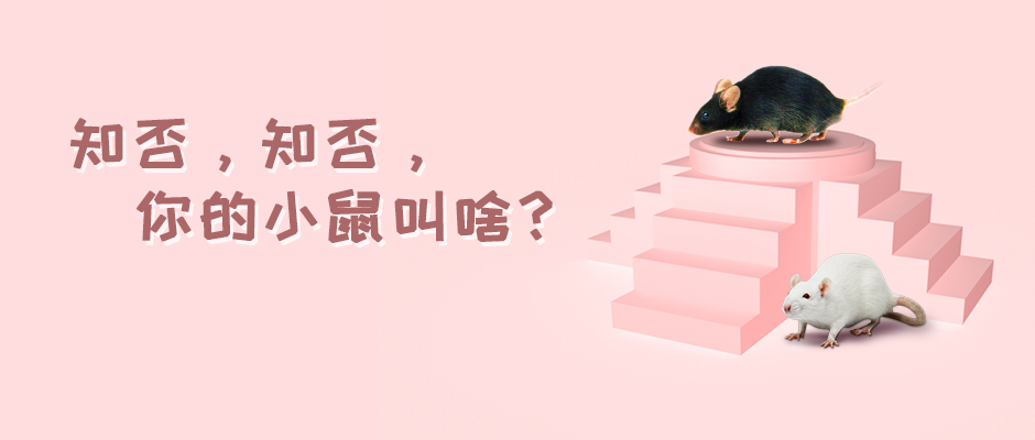 全名叫起来啰嗦，这就是你们叫我小黑的理由？