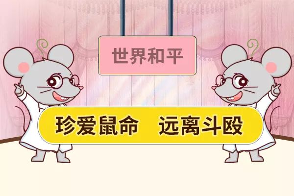 什么？小鼠又双叒叕打架了？！