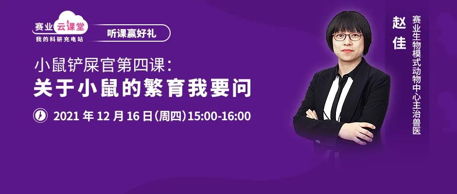 关于小鼠的繁育